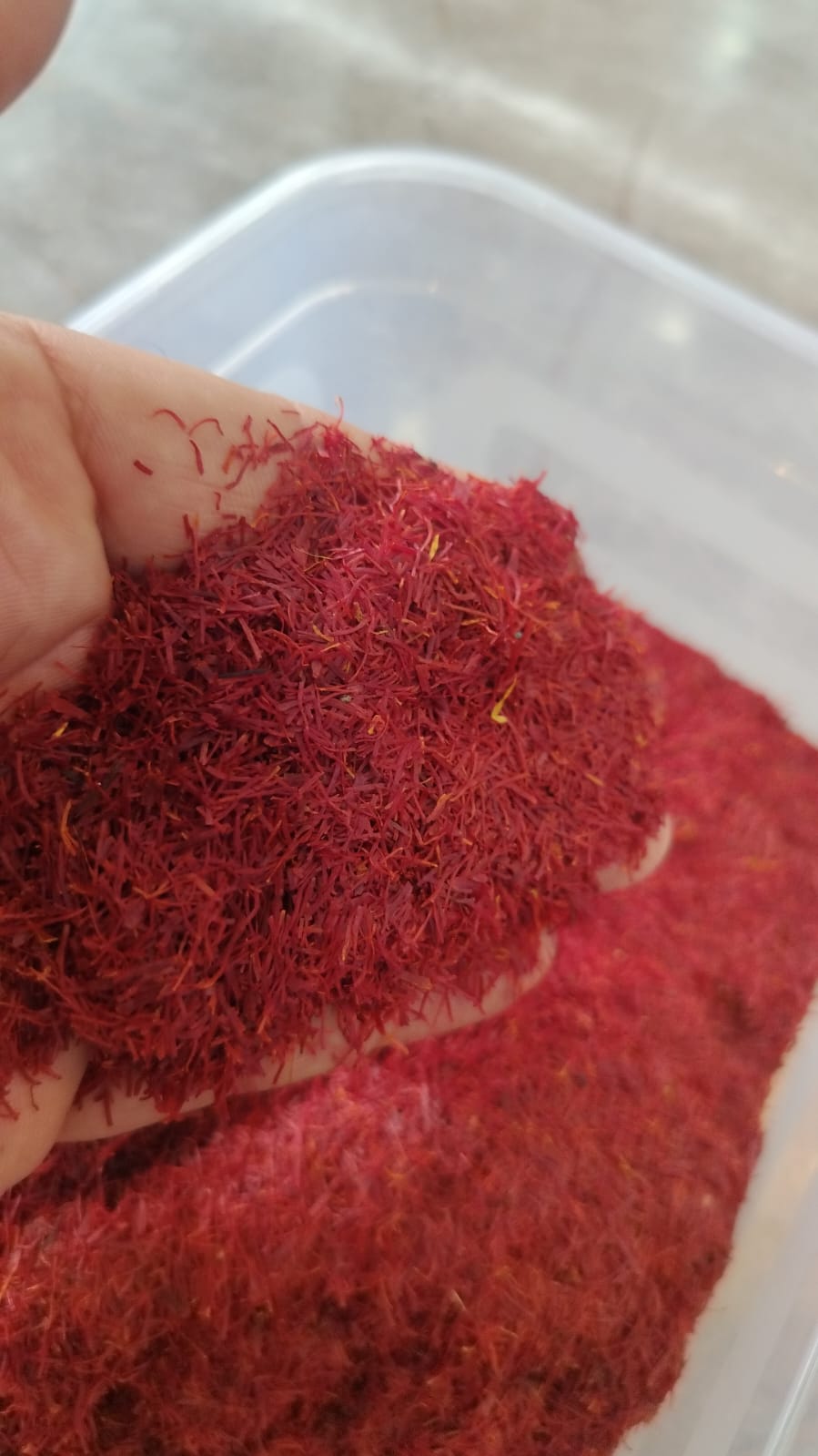 Kashmir saffron - 16 Sep 2026