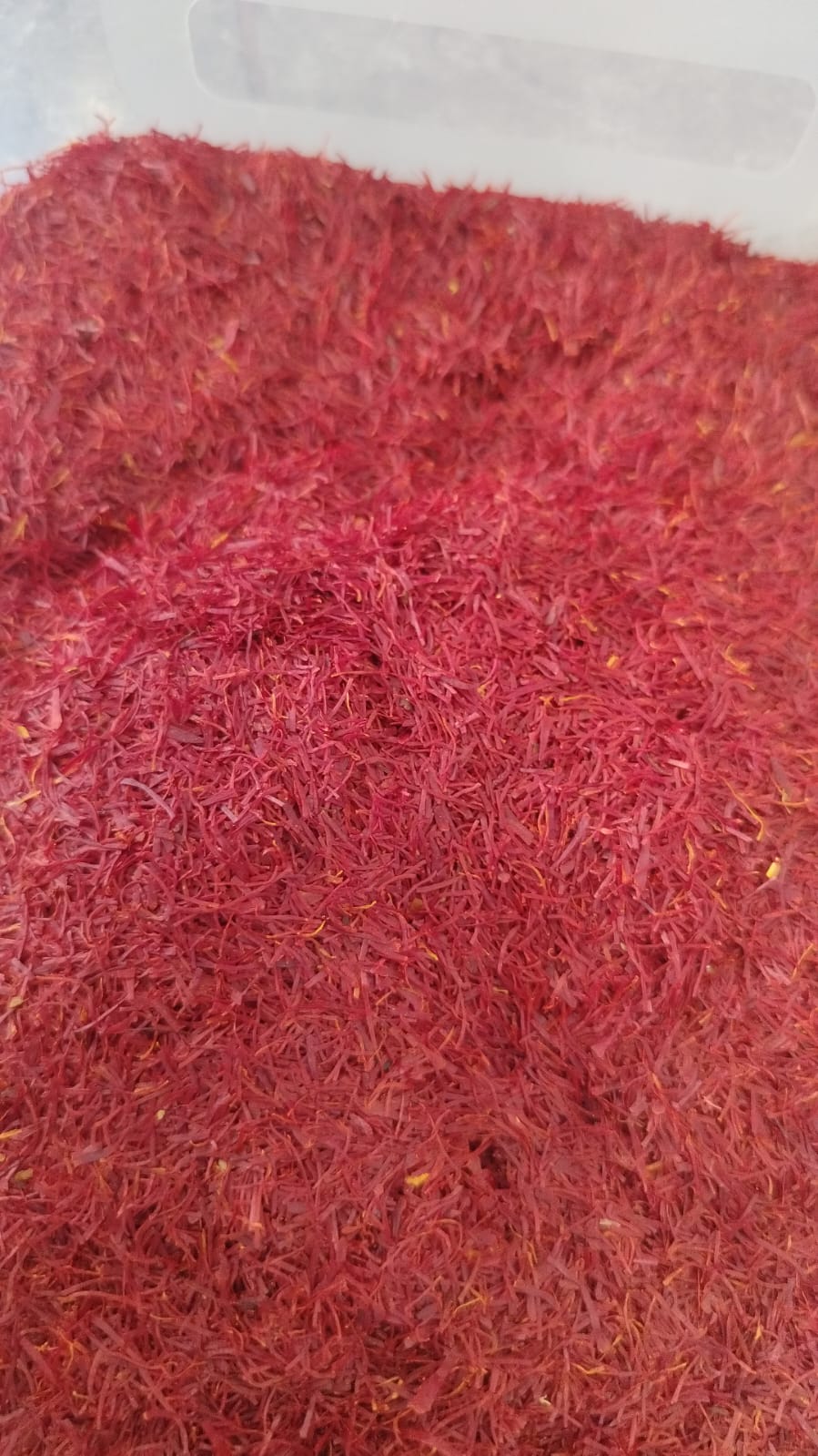 Kashmir saffron - 16 Sep 2026